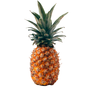 Piña und